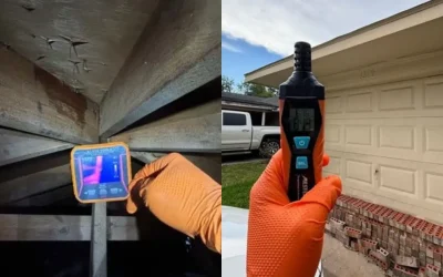 How Regular Humidity Assessments Prevent Mold Before Winter