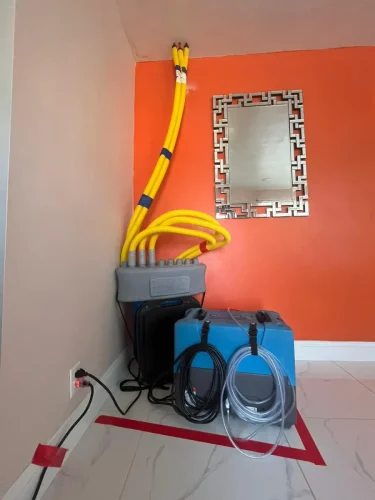residential-mold-remediation